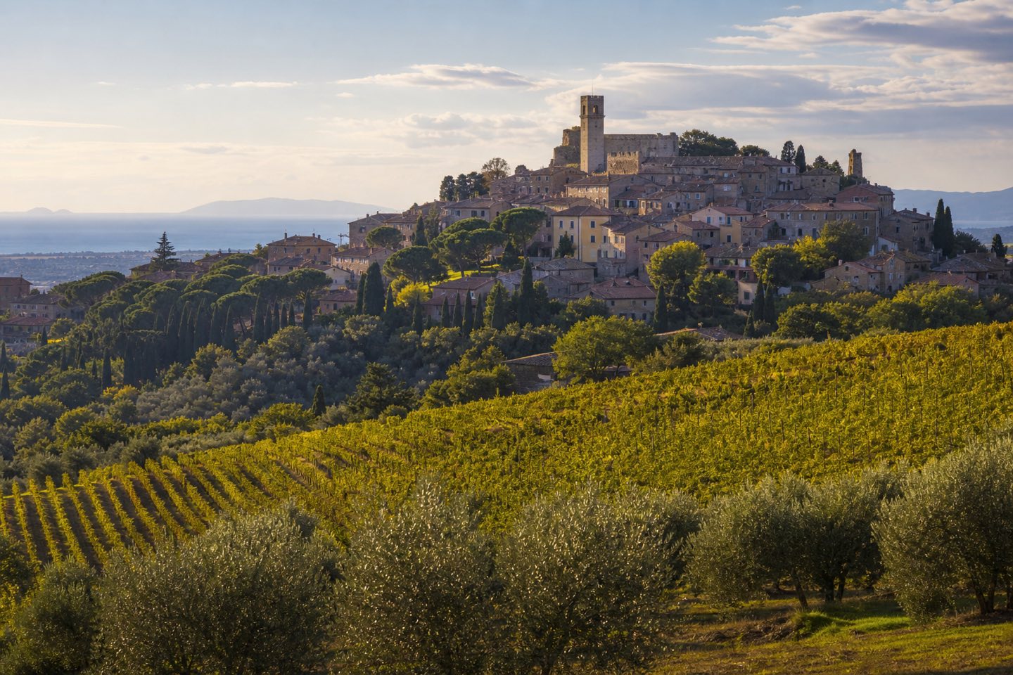 Panorama di Castagneto Carducci sulle colline della Costa degli Etruschi